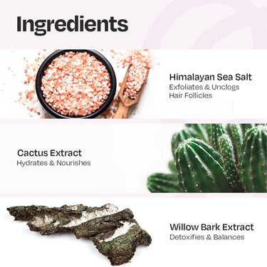 MANETAIN Scalp Scrub 100gm for Oily & Greasy Scalp & Hair | Purifying Hair Scrub for Dandruff & Dry Scalp | Exfoliating Sea Salt for Scalp Detox | Soothing & Hydrating Scrub for All Hair Types | Vegan & Cruelty-Free
